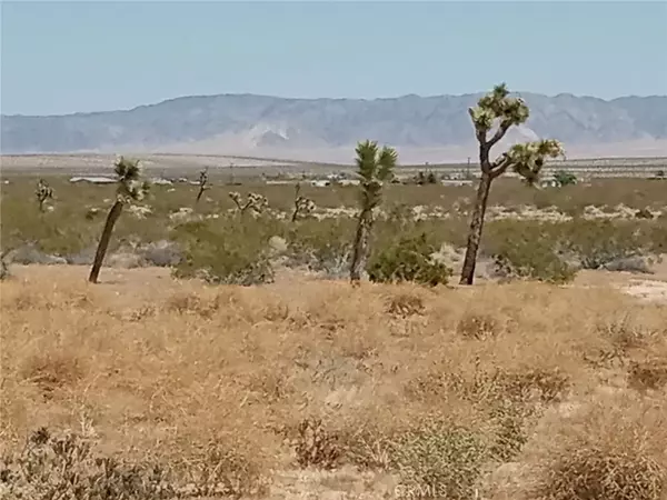 Landers, CA 92285,408 Stable