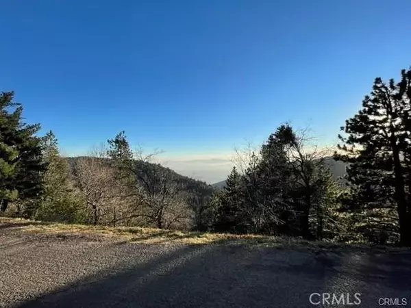 0 Peak, Cedarpines Park, CA 92322