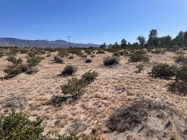 0 Manatee, Newberry Springs, CA 92365