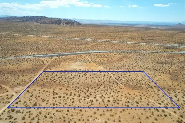 Apple Valley, CA 92307,0 Leaping Lizard