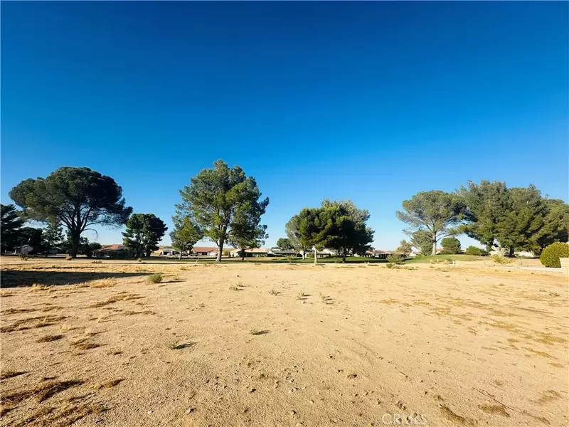 15100 Bluegrass, Helendale, CA 92342