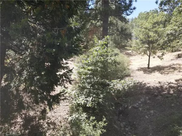 Running Springs, CA 92382,30215 Elfin