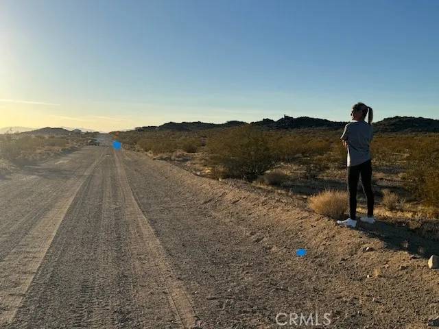 Lucerne Valley, CA 92356,0 Smoke Bush