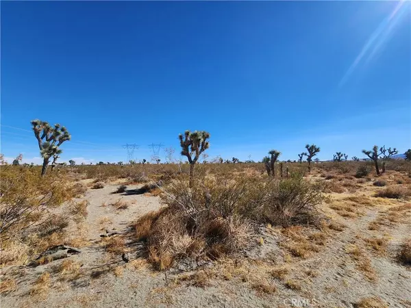 Pinon Hills, CA 92372,0 Colorado