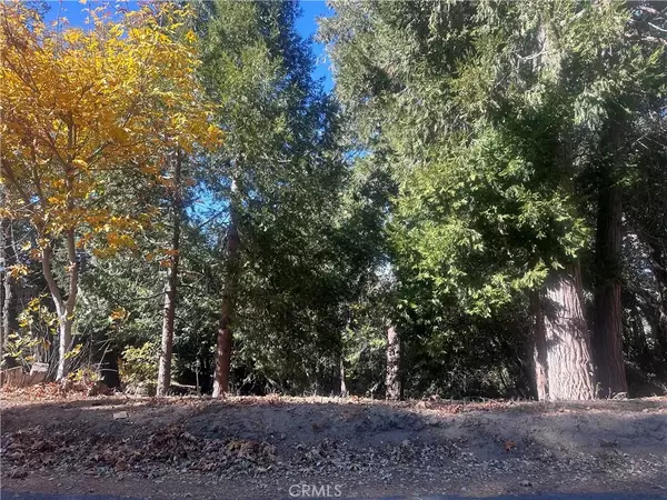 Crestline, CA 92325,0 Chillon