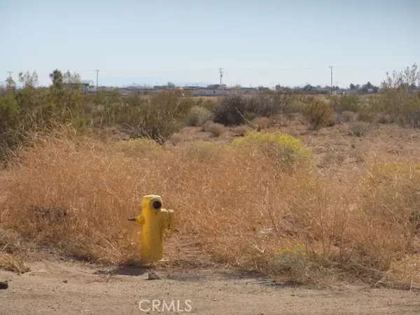 California City, CA 93505,1 Brown