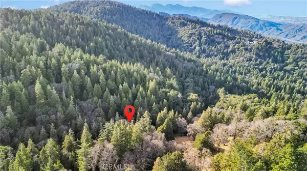 Cedarpines Park, CA 92322,0 Mojave River