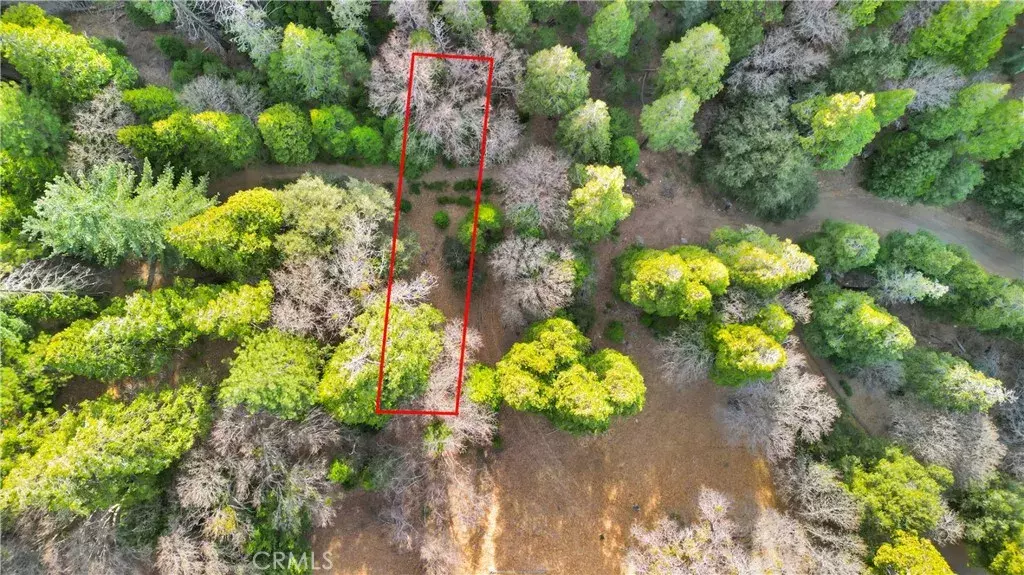 Cedarpines Park, CA 92322,0 Mojave River