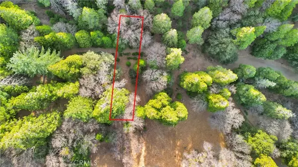 0 Mojave River, Cedarpines Park, CA 92322