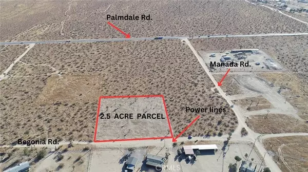 Phelan, CA 92371,111 Begonia