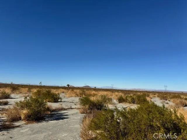 Pinon Hills, CA 92372,0 Wintergreen