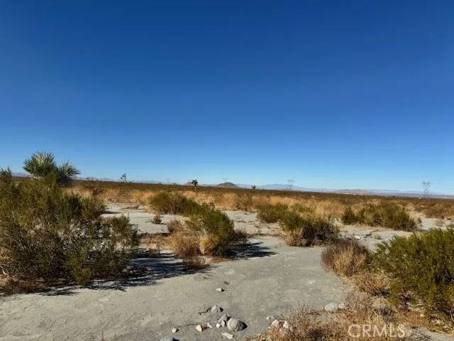 Pinon Hills, CA 92372,0 Wintergreen