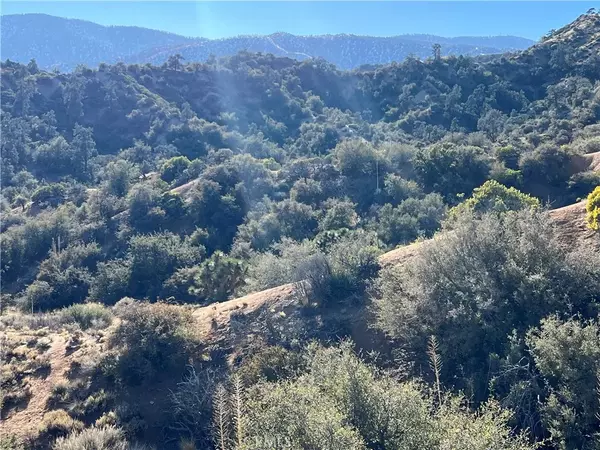 Wrightwood, CA 92372,0 Whispering Pines