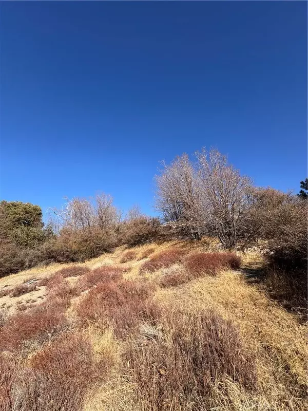 Cedar Glen, CA 92321,29685 Hickory