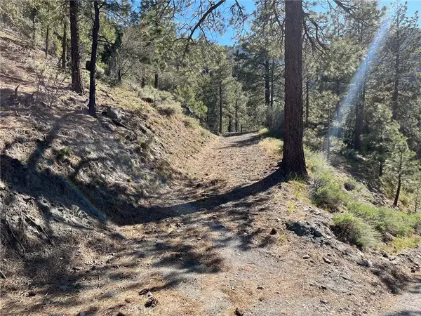 Wrightwood, CA 92397,0 Mojave Scenic Drive