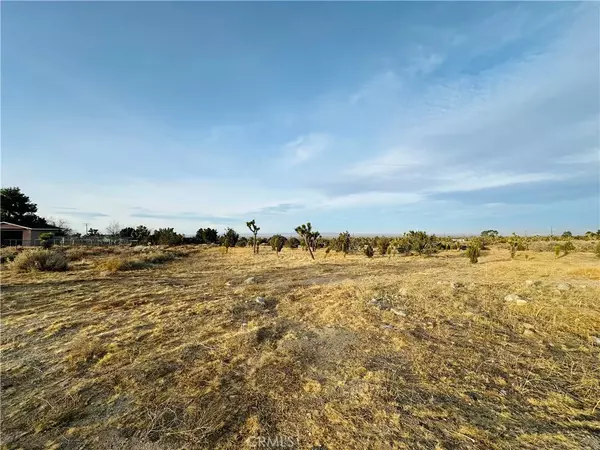 Pinon Hills, CA 92372,0 Evergreen Ct