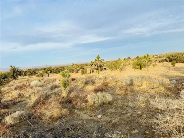 Pinon Hills, CA 92372,0 Evergreen Ct