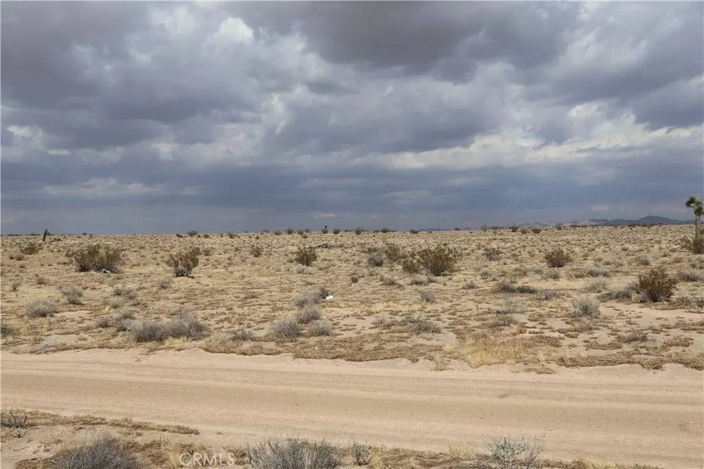 Adelanto, CA 92301,0 Verbena