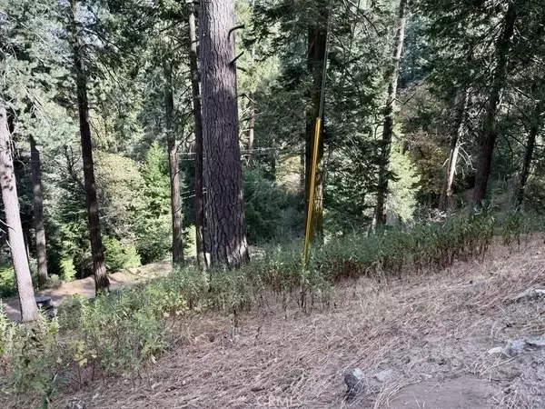 Cedarpines Park, CA 92322,0 Burnt Mill Canyon