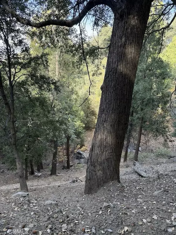 Cedarpines Park, CA 92322,0 Mojave River