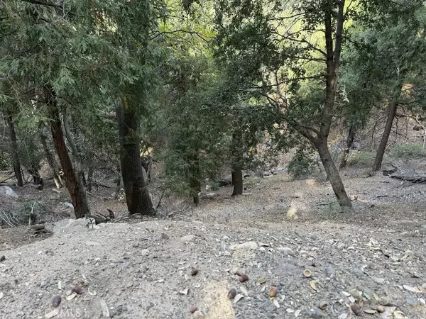 Cedarpines Park, CA 92322,0 Mojave River