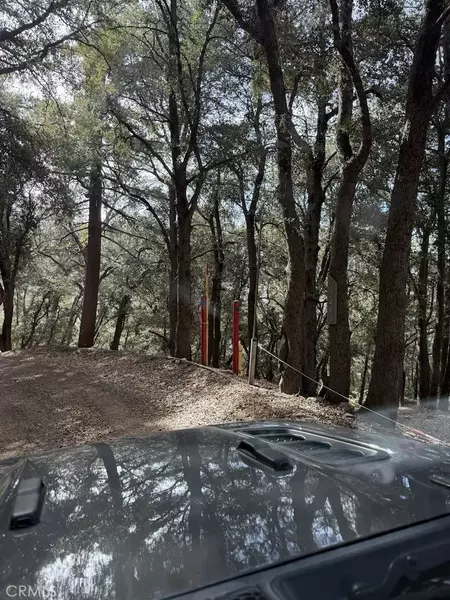 0 Mojave River, Cedarpines Park, CA 92322