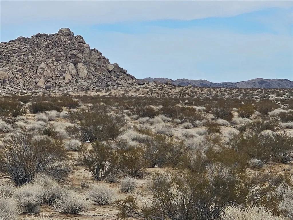 Lucerne Valley, CA 92356,402 Rose Ln.