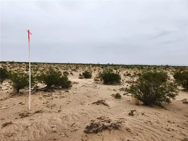 Newberry Springs, CA 92365,3 Near Fairview