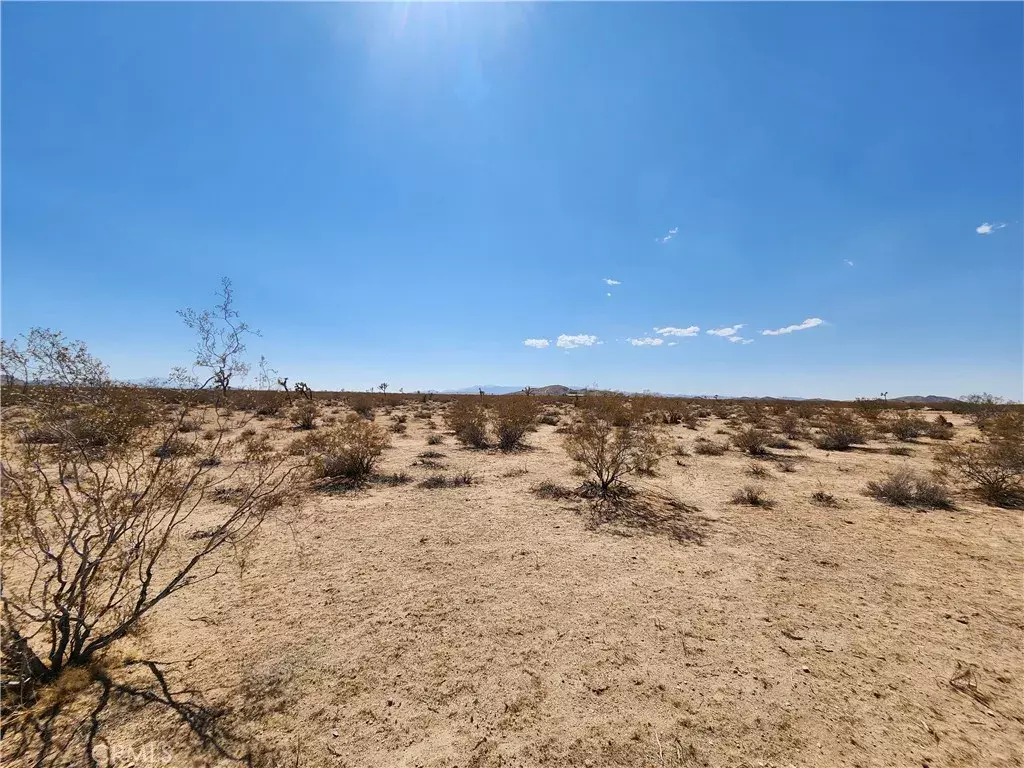 Joshua Tree, CA 92252,2020 Sunset