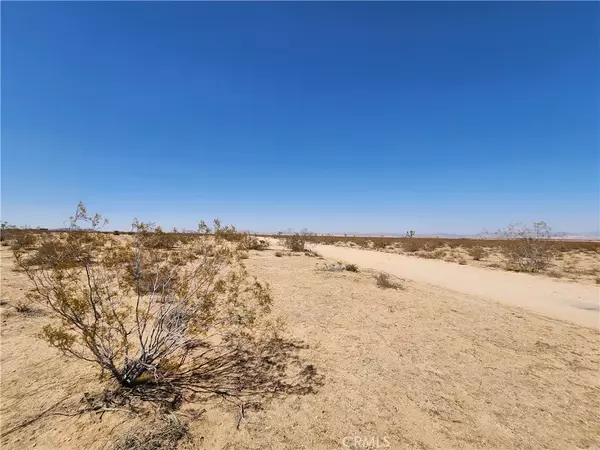 Joshua Tree, CA 92252,2020 Sunset