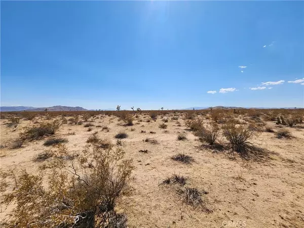 Joshua Tree, CA 92252,2020 Sunset