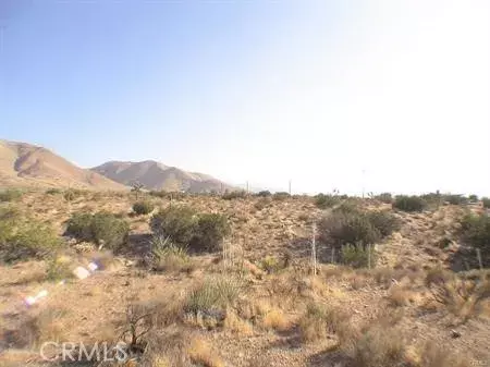 Apple Valley, CA 92308,0 Juniper