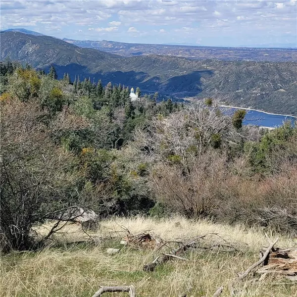 Cedarpines Park, CA 92322,3430247 Mojave View