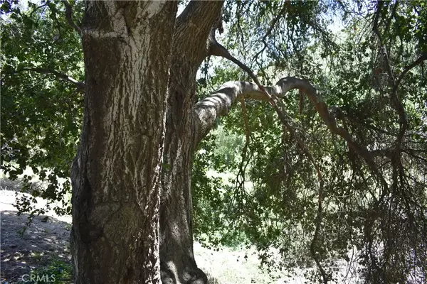 Green Valley, CA 91350,0 Vac Calle El Baranco/Vic Spunk