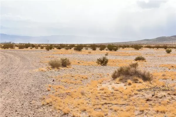 0 APN 0420-261-68-0000, Helendale, CA 92342