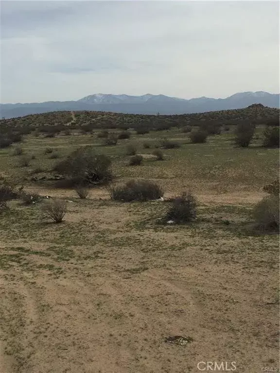 Palmdale, CA 93550,235 E Avenue Q