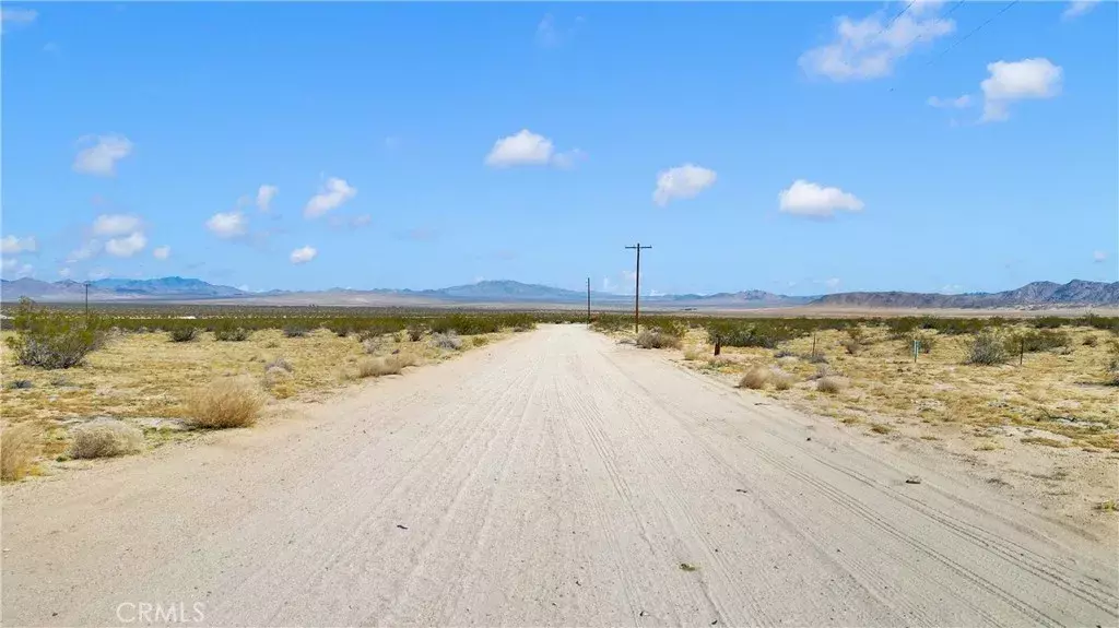 Johnson Valley, CA 92285,0 Datura