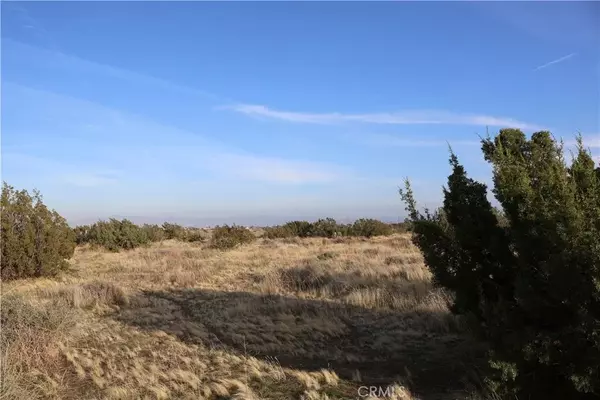 Oak Hills, CA 92344,9955 Macron