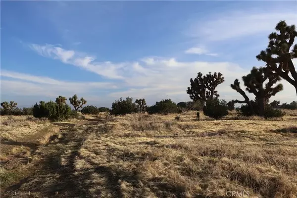 Oak Hills, CA 92344,9955 Macron