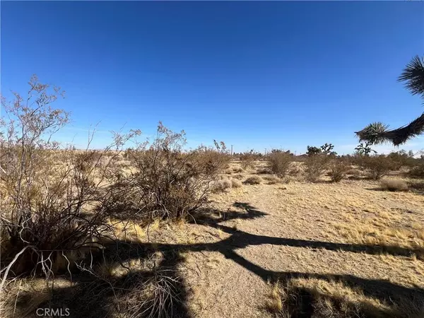 Pinon Hills, CA 92372,0 mountain