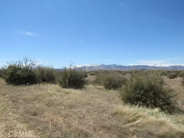 Phelan, CA 92371,0 Buttemere