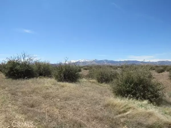 Phelan, CA 92371,0 Buttemere