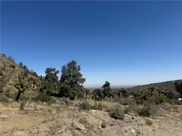 Pinon Hills, CA 92372,41112 Jack Rabbit