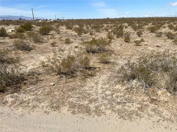 Phelan, CA 92371,0 Buttonwood