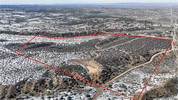 Phelan, CA 92371,0 Mesquite