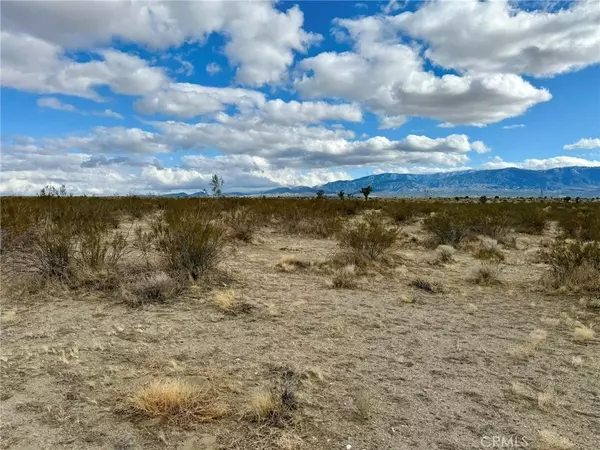 Pinon Hills, CA 92372,31005410 4 Dos Palmas