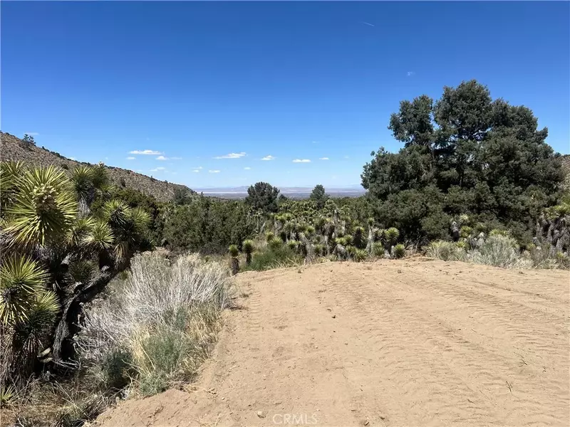 0 Evergreen, Pinon Hills, CA 92372
