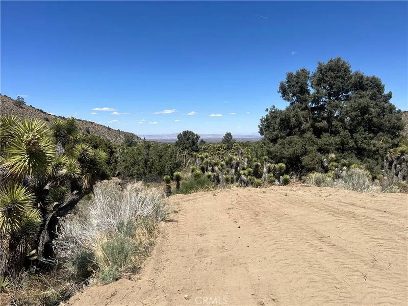 0 Evergreen, Pinon Hills, CA 92372