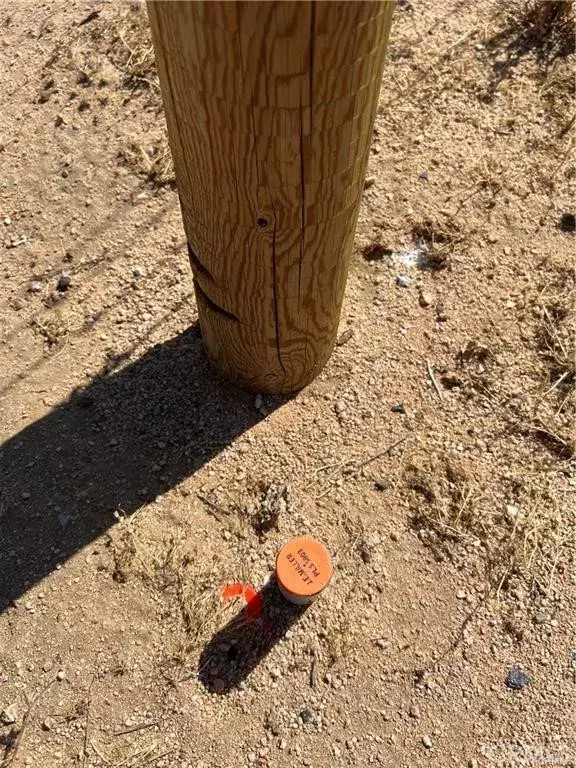 Helendale, CA 92342,1 N Buckthorne