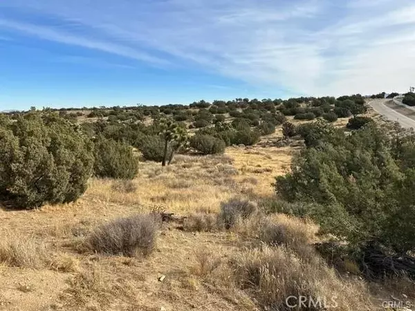 Oak Hills, CA 92344,0 Verbena